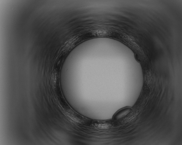 X0000052610645200507160038