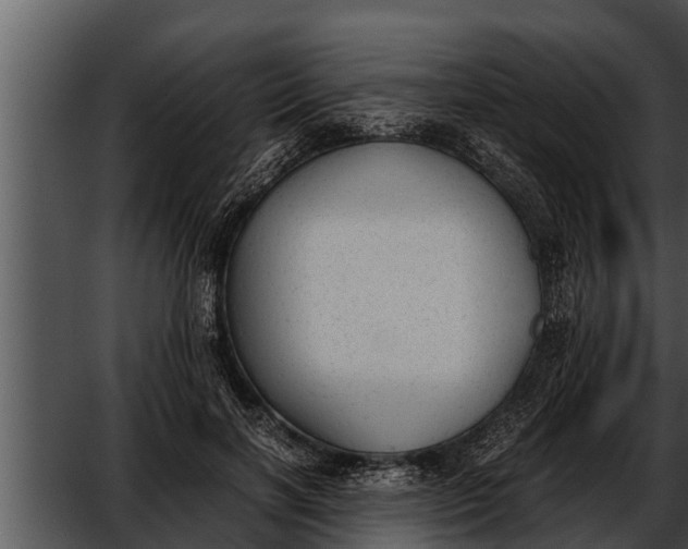 X0000052610646200507160038