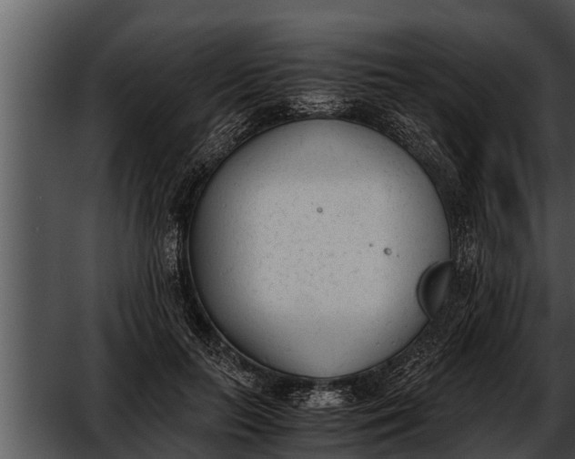 X0000052610647200507160038