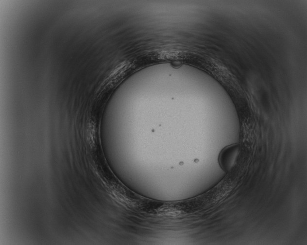 X0000052610648200507160038