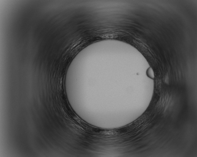 X0000052610652200507160038