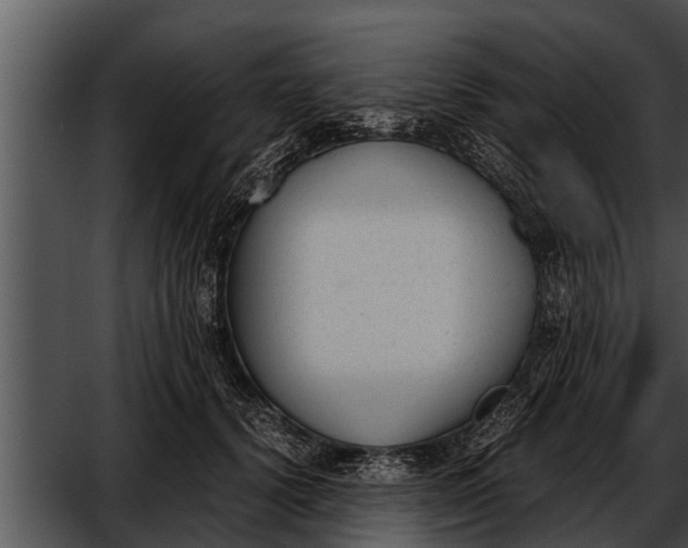 X0000052610656200507160038