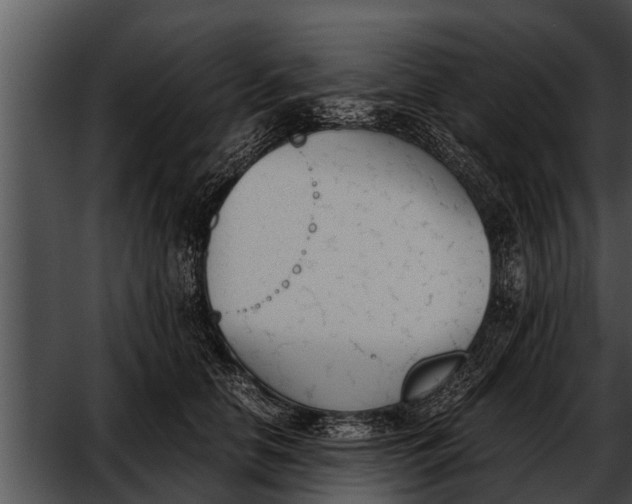 X0000052610658200507160039