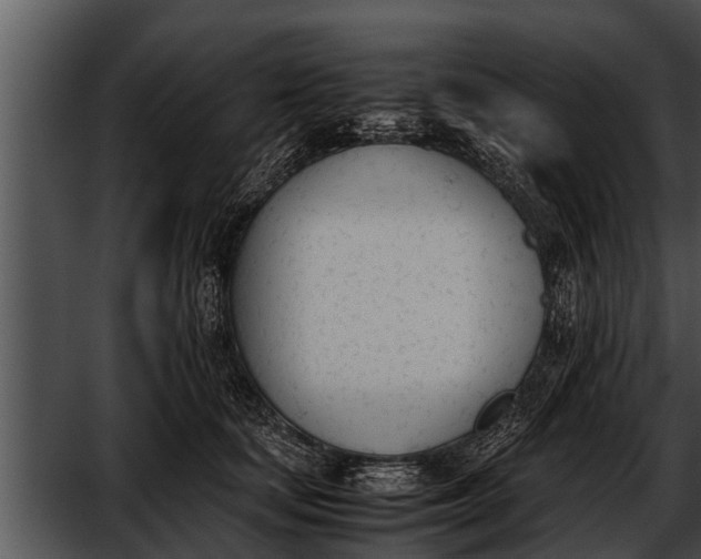 X0000052610659200507160039