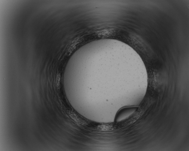 X0000052610660200507160039