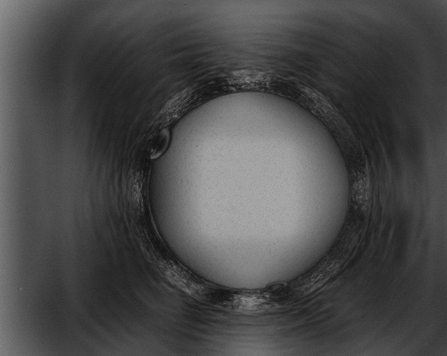 X0000052610662200507160039