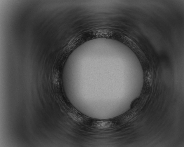 X0000052610663200507160039