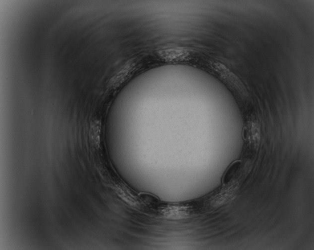 X0000052610664200507160039