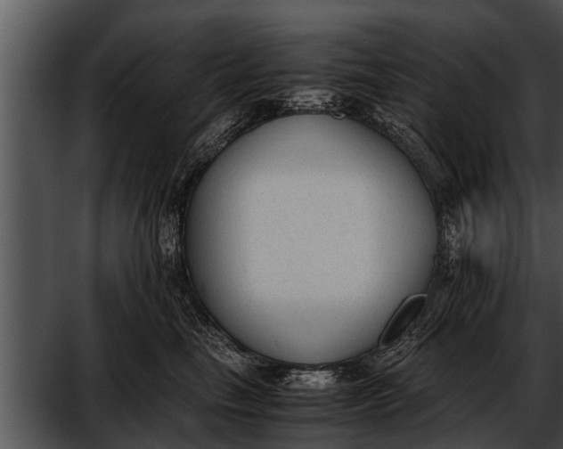 X0000052610665200507160039