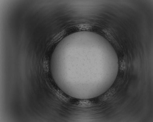 X0000052610666200507160039