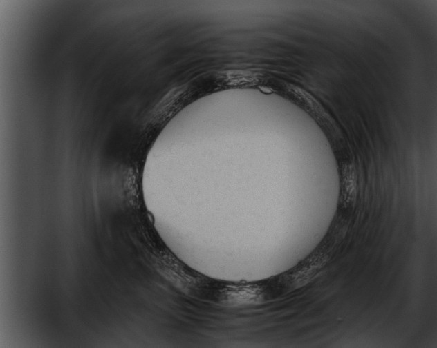 X0000052610667200507160039