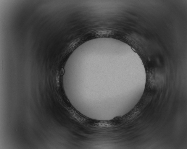 X0000052610668200507160039