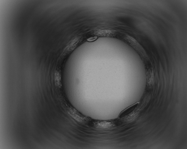 X0000052610669200507160039