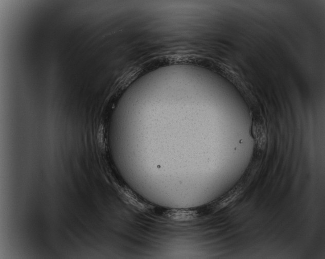 X0000052610670200507160039