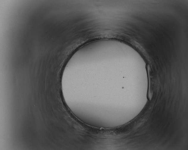 X0000052610673200507160038