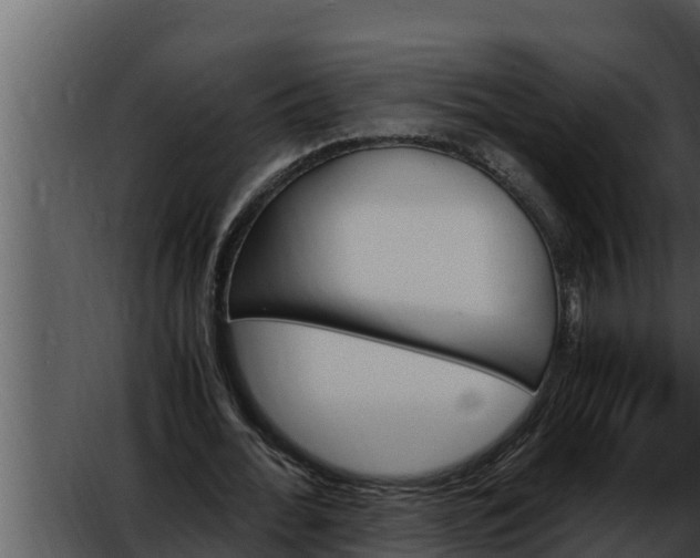 X0000052610676200507160038