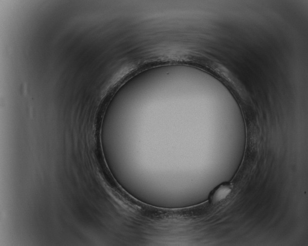 X0000052610677200507160038