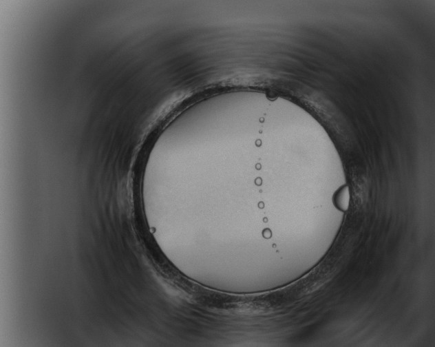 X0000052610678200507160038