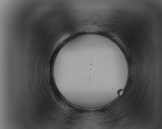 X0000052610679200507160038