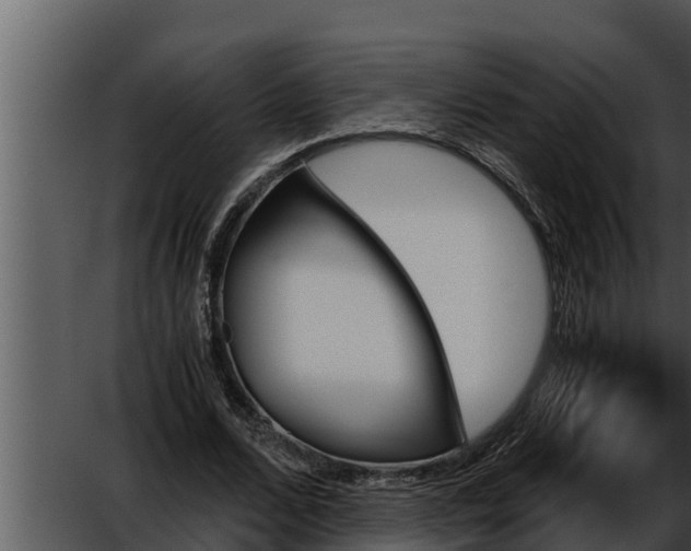 X0000052610680200507160038