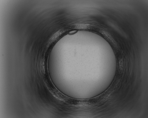 X0000052610682200507160038