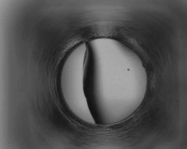 X0000052610683200507160038