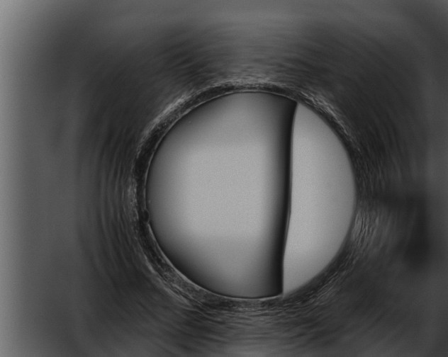 X0000052610684200507160038