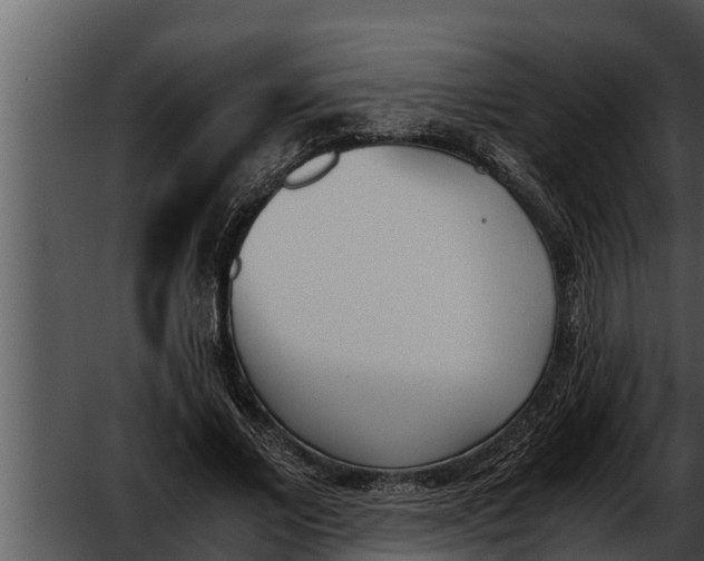 X0000052610685200507160038