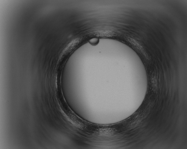 X0000052610686200507160038