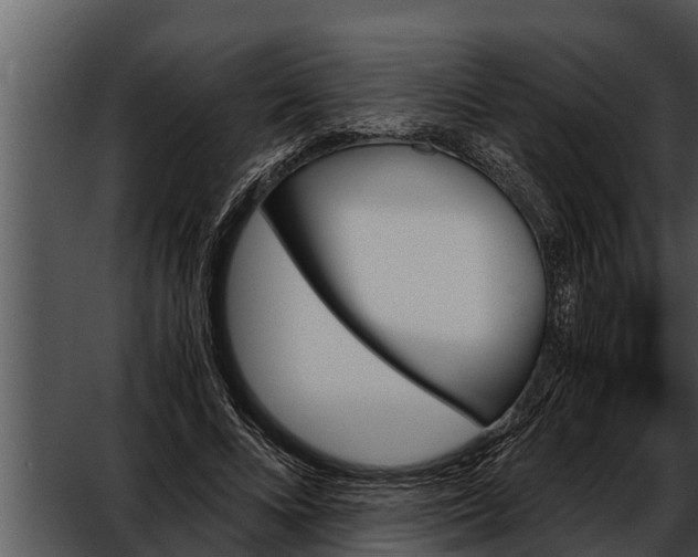 X0000052610688200507160038