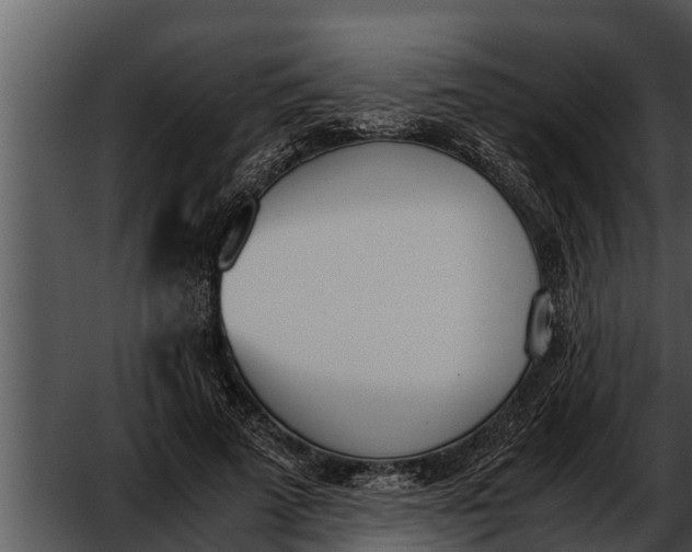 X0000052610689200507160038