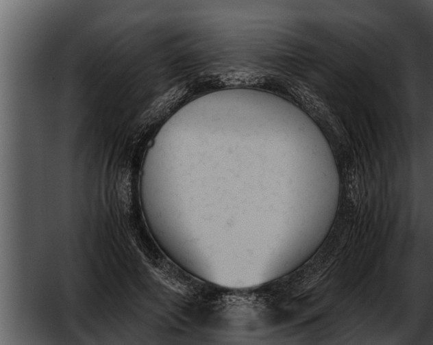 X0000052610690200507160038