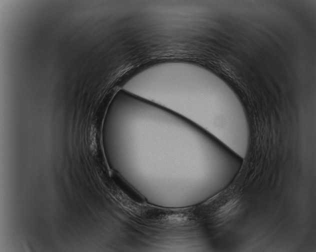 X0000052610692200507160038