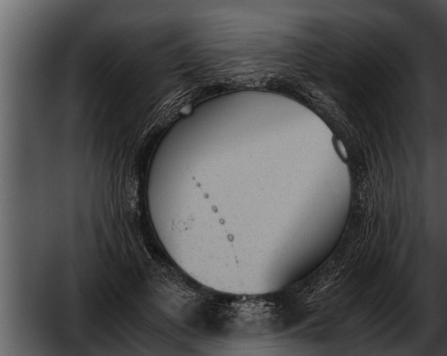 X0000052610693200507160038