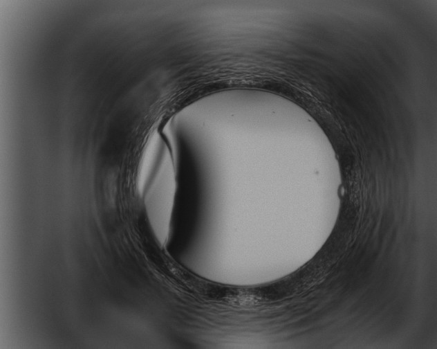 X0000052610695200507160038