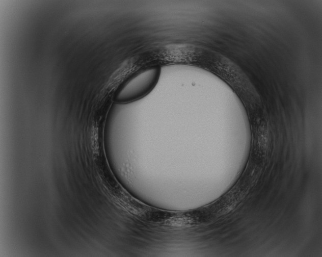 X0000052610696200507160038