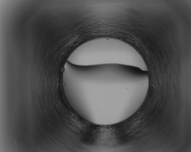 X0000052610697200507160038