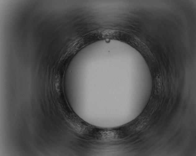 X0000052610698200507160038