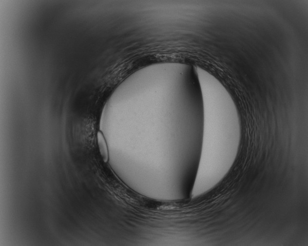 X0000052610699200507160037