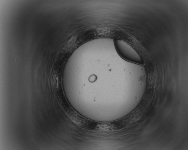 X0000052610703200507160037