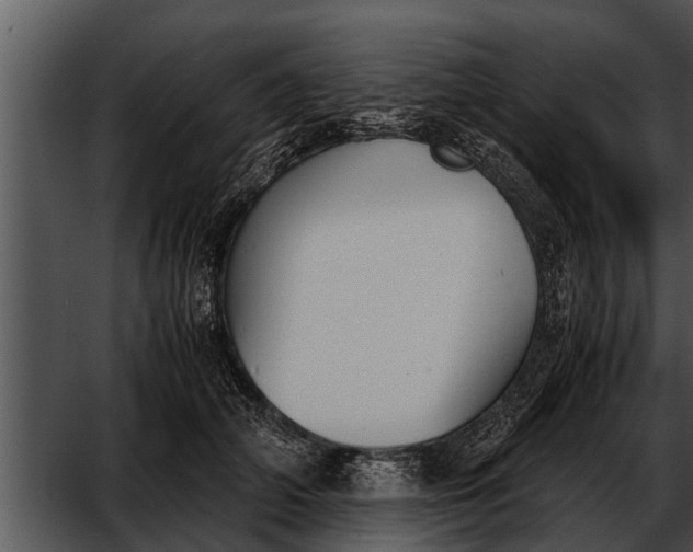 X0000052610706200507160037