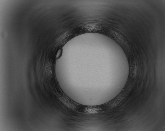 X0000052610710200507160037