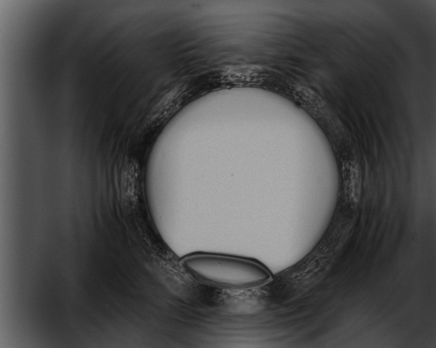 X0000052610712200507160037