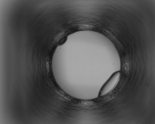 X0000052610716200507160037