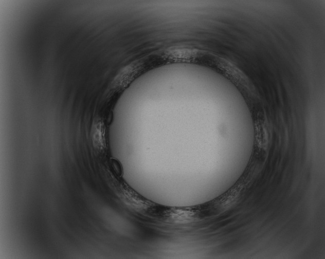 X0000052610718200507160037