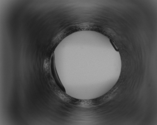 X0000052610720200507160037