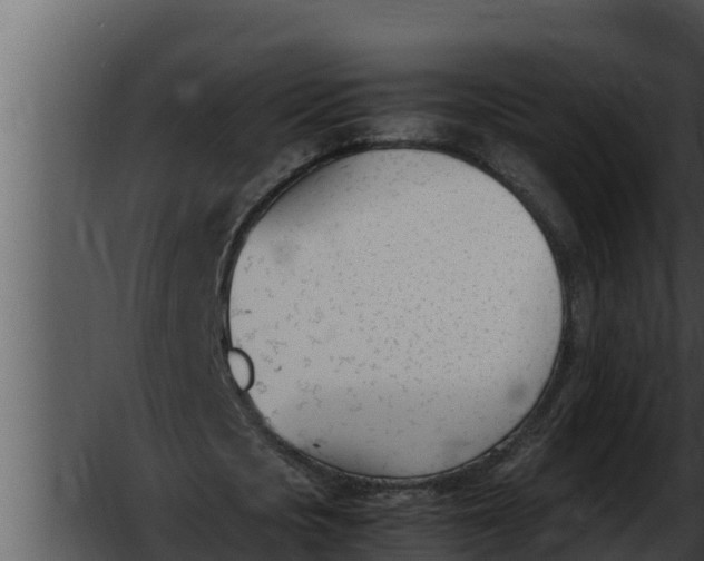 X0000052610721200507160036