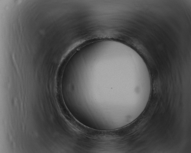 X0000052610722200507160036