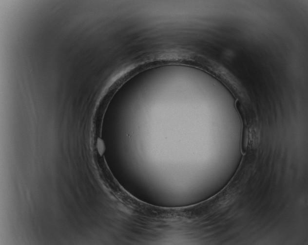 X0000052610724200507160036