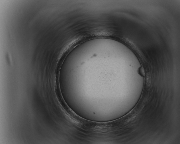 X0000052610725200507160036